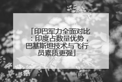 印巴军力全面对比：印度占数量优势，巴基斯坦技术与飞行员素质更强